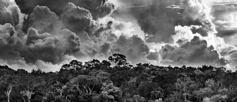 Amazônia - Photographies de Sebastião Salgado Du 27 juin au 30 novembre